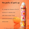 Amika Perk Up Dry Shampoo